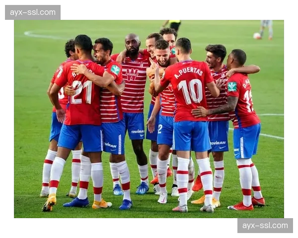 格拉纳达主场，球迷抗议俱乐部管理层，比赛一度中断