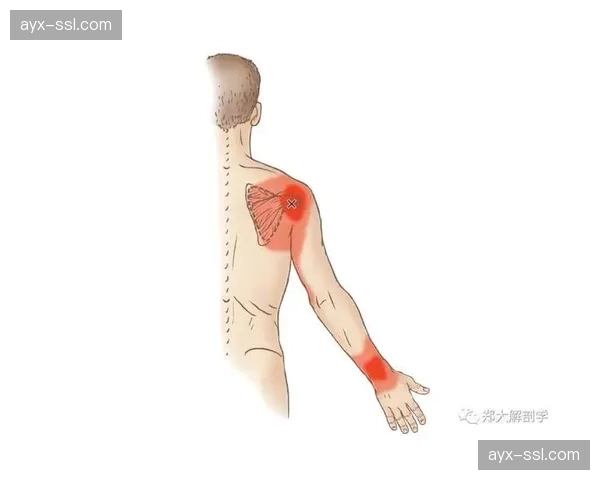 深度报道：乒乓球运动损伤图谱，肩、腰、腕为三大高风险部位